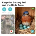 thumbnail image 4 of TT Nature Bird House with Camera Solar Powered, AI Live View Bird Feeder with Camera, Watch Bird Nesting and Hatching, Outdoor Birdhouse Camera, Ideal Gift for Bird Lovers, 4 of 10