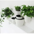 thumbnail image 3 of D-GROEE Self Watering Hanging Wall Planter, Space-Saving Design, Small, Resin, White and Black, 3 of 7