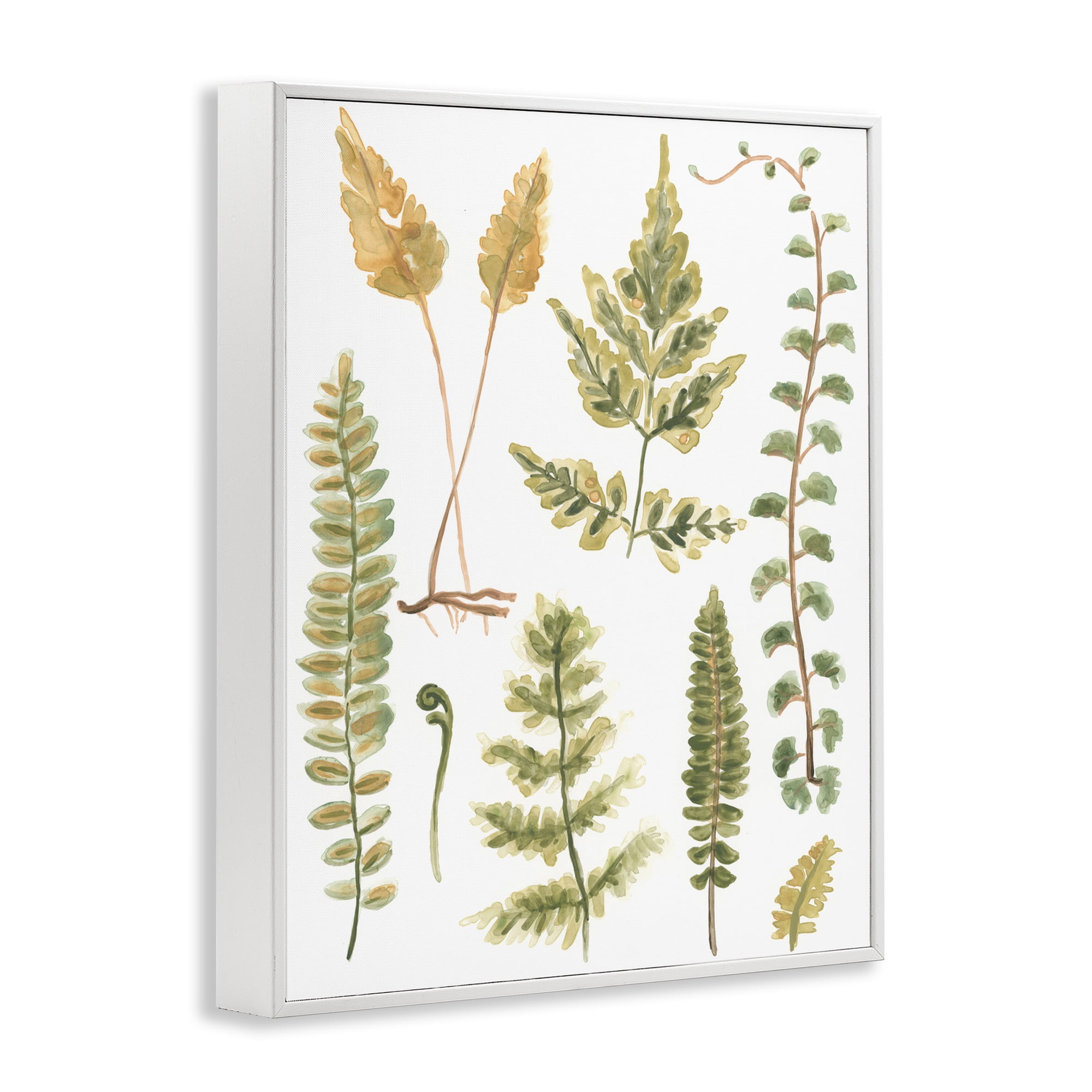 Stupell Industries Varied Fern Leaves Botanical & Floral Painting White Framed Art Print Wall Art, 16 x 20