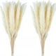 thumbnail image 2 of Ramo de flores secas BuyWeek de hierba de la pampa 30 piezas caña inmortal, 2 of 12