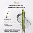 thumbnail image 4 of ELAN GOGO BROWS Eyebrow & Eyelash Conditioning Serum – Brow & Lash Enhancer with Peptides, Amino Acids & Pro-Vitamin B5 – Daily Brow & Lash Care (4.5 ml), 4 of 6