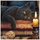 thumbnail image 1 of Cuadros Decorativos Bordado completo Gato negro estampado DIY Kits de punto de cruz 11CT regalos de costura JShteea  Nuevos Originales, 1 of 9