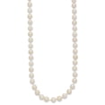thumbnail image 2 of Primal Gold 14 Karat Yellow Gold 5-6mm Round White Saltwater Akoya Cultured Pearl Necklace, 2 of 4