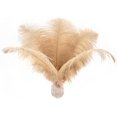 thumbnail image 1 of 24 Piezas Plumas de Avestruz NQ Blancas Naturales 25-30 cm para Decoración de Bodas, 1 of 4