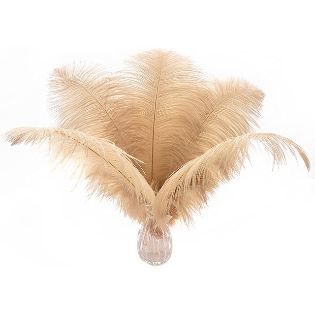 24 Piezas Plumas de Avestruz NQ Blancas Naturales 25-30 cm para Decoración de Bodas