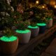 thumbnail image 5 of Pack de 200 de piedras de jardín que brillan en la oscuridad, piedras decorativas luminosas para senderos, paisajismo y decoración de acuarios para acuarios, 5 of 5