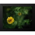 thumbnail image 2 of Bonin, Suzanne 14x12 Black Modern Framed Museum Art Print Titled - Yellow Chamomile, 2 of 5