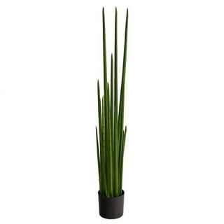 GnFlus Artificial Snake Plant with Ceramic Pot, 16 Inch Faux