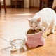 thumbnail image 1 of Elevated Cat Food Bowl Large Capacity Whisker Fatigue Relief Anti Vomit Slow Feeder Pet Dish for Indoor Cats with Stand and Mat, 1 of 6