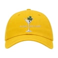 thumbnail image 1 of Sombreros Del Día de San Patricio para Hombres Y Cerveza Super Sombrero de Béisbol Se Ajusta a Irlanda Hombres Irlandeses Mujeres Sombrero Regalos para Mamá Abuelo Abuela, 1 of 6