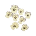 thumbnail image 1 of Injueey 12 Pieces Dried Flower Crafts Simple Accessories Craft DIY Make Adornment Pressed Exquisite Handicrafts Flowers Makeup Type5 NO5, 1 of 6