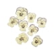 thumbnail image 1 of Injueey 12 Pieces Dried Flower Crafts Simple Accessories Craft DIY Make Adornment Pressed Exquisite Handicrafts Flowers Makeup Type5 NO5, 1 of 6