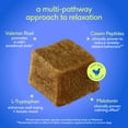 thumbnail image 4 of Native Pet Anxiety & Stress Support Chew Supplement for Dogs, 60 count, 4 of 7