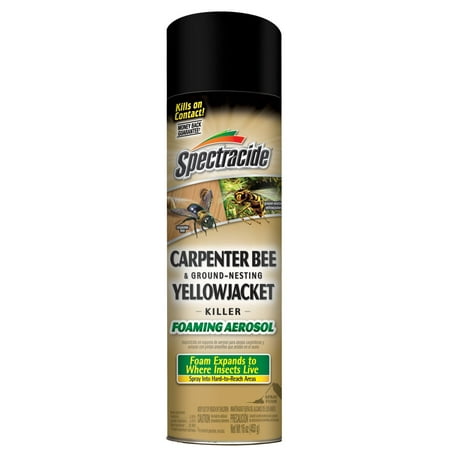 Spectracide Carpenter Bee & Nesting Yellowjacket Killer Spray 16oz (Best Spray For Carpenter Bees)