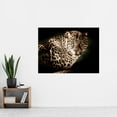 thumbnail image 2 of Leopard Big Cat Spots Photo Extra Large XL Wall Art Poster Print, 2 of 3