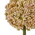 thumbnail image 5 of Hill Interiors Allium Stem Artificial Plant, 5 of 5