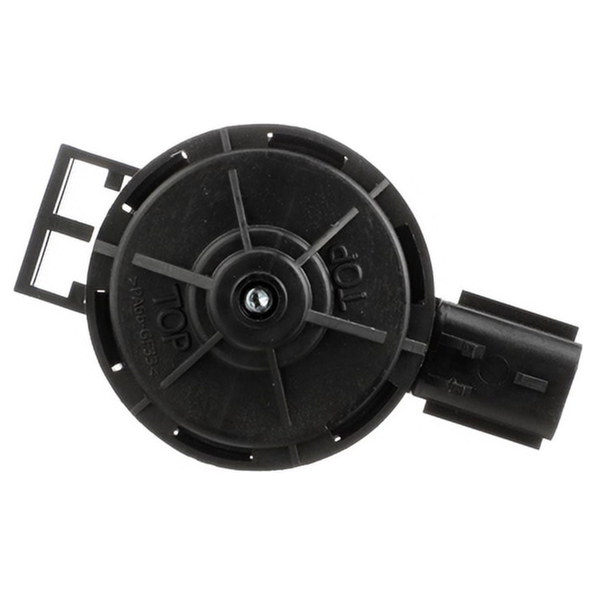 Canister Purge Solenoid