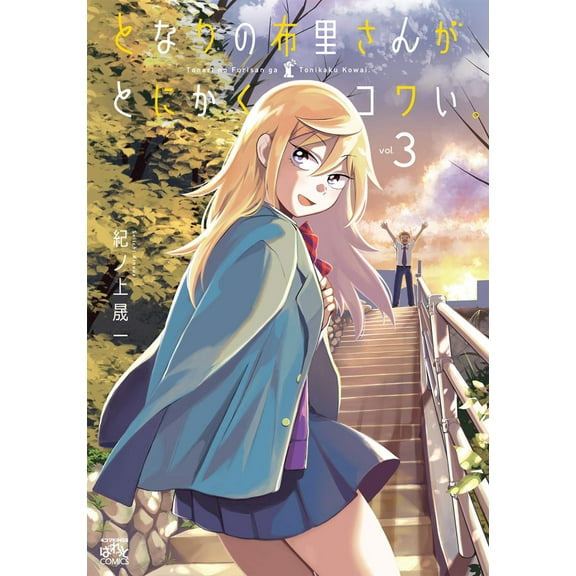 No Matter What You Say, Furi-san is Scary!: No Matter What You Say, Furi-san is Scary! Vol. 3 (Series #3) (Paperback)