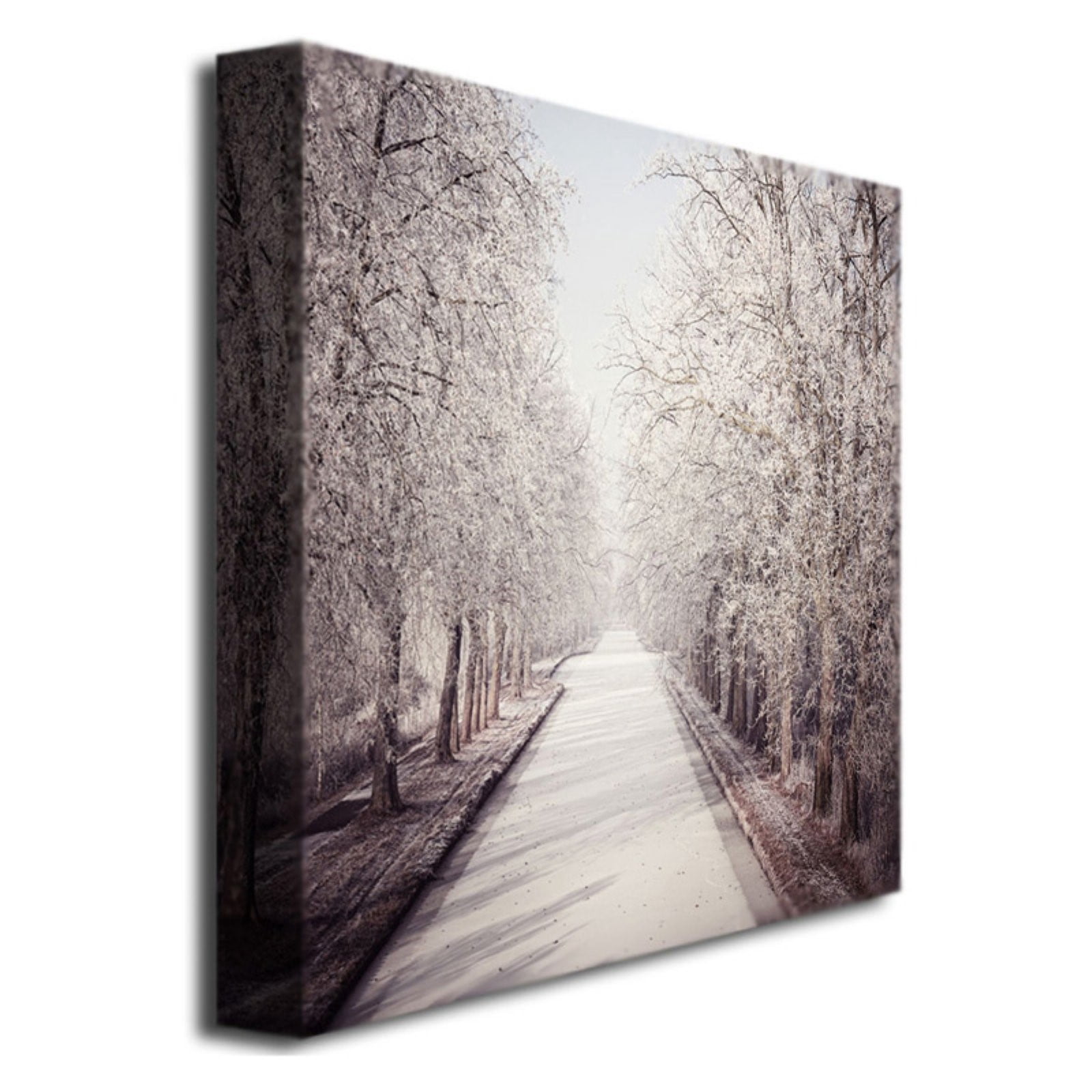 Trademark Art "Milky Way" Canvas Art by Philippe Sainte-Laudy