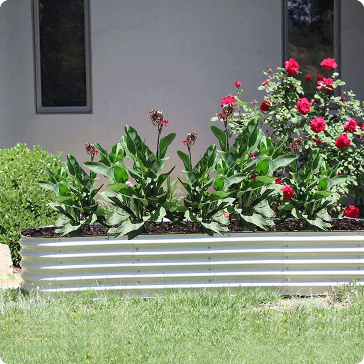 Olle Gardens 17" Tall 12-in-1 Raised Bed Garden in Ivory