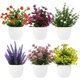 thumbnail image 1 of 6 Pcs Plantas Artificiales, Flores Artificiales, Plantas Artificiales Decorativas, Plantas en Macetas para Decoración del Hogar, Interior, Oficina, Escritorio, Habitación, Granja, Multicolor, 1 of 4