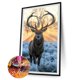 thumbnail image 1 of Cuadros Decorativos 5D bricolaje taladro redondo completo diamante pintura ciervo Animal hogar pared arte artesanía regalo Tmvgtek embutido en tela, 1 of 9