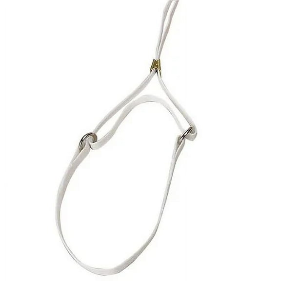 Resco Martingale Show Lead, 3/16 x 42-Inch Long, 12" Choke, White