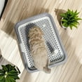 thumbnail image 5 of Washable Flat Bottom Dog Toilet Potty with Detachable Tray | Splash Guard & Easy-Clean Design | Indoor Puppy Pad for Small & Medium Dogs | Blue, Green, Yellow, Gray, 5 of 6