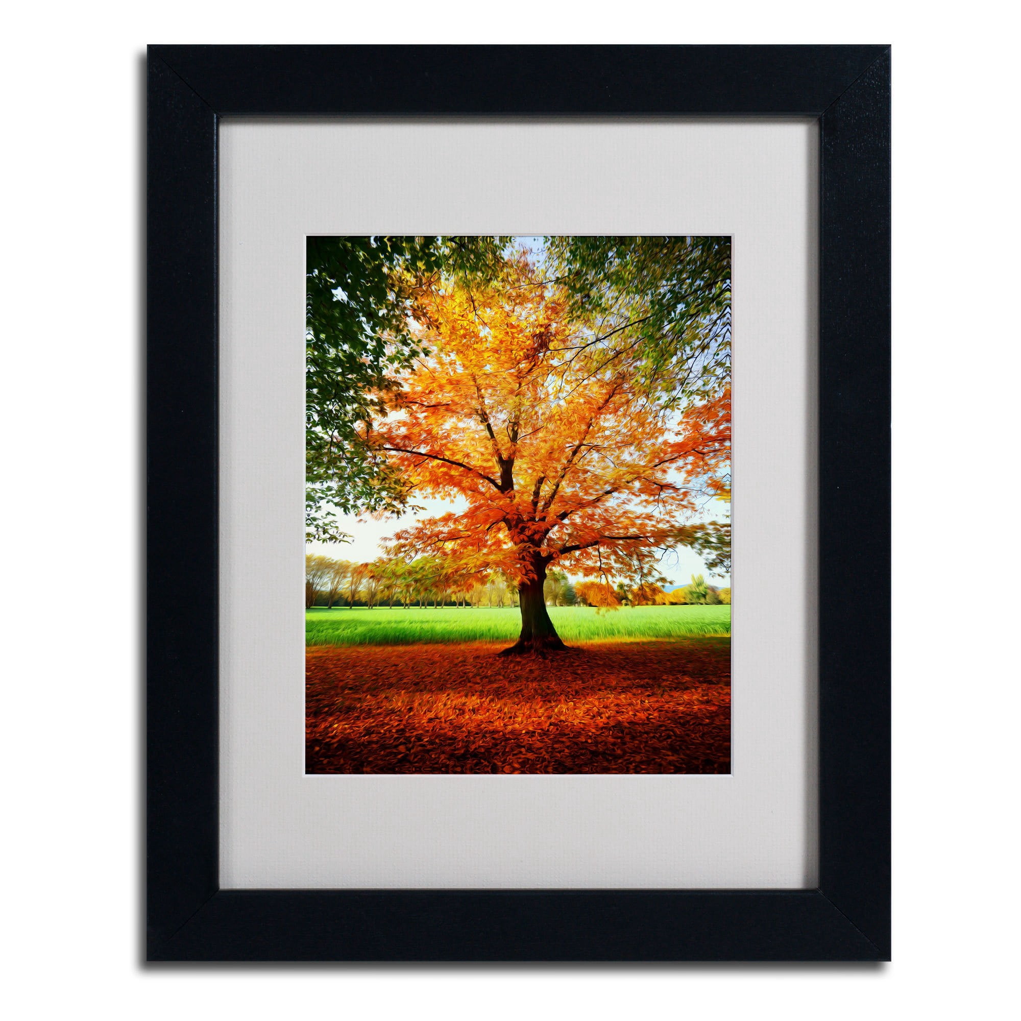 Trademark Fine Art "Tout Feu" Canvas Art by Philippe Sainte-Laudy, Black Frame