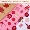 thumbnail image 4 of UPINS Fleurs Séchées Rouges Pressées pour Moules en Résine, kit de Fleurs Séchées Naturelles pour Scrapbooking Fleurs Séchées pour Résine Fleurs Séchées pour Faire des Bougies en Savon Bricolage, 4 of 7
