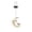 A #19, variant on StlyGar Dog Hanging Moon Solar Light Solar LED Pathway Lights Metal Crescent Yard Lamp with Hanging Crackle Glass Ball