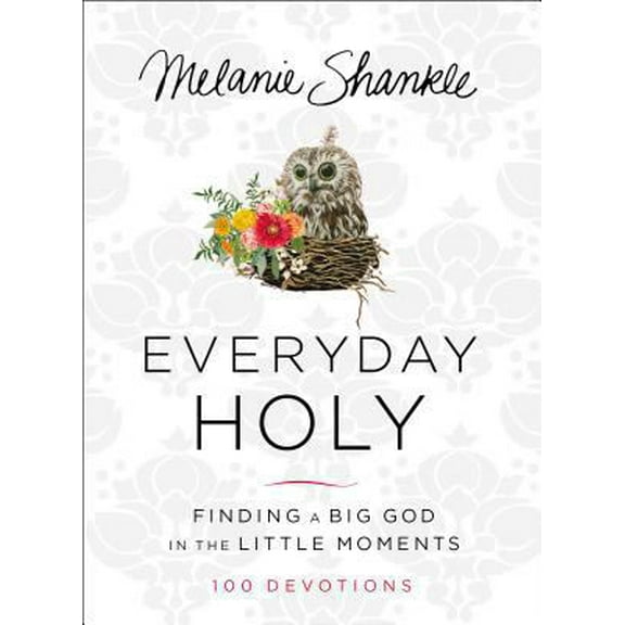 Pre-Owned Everyday Holy: Finding a Big God in the Little Moments (Hardcover) 0310346681 9780310346685