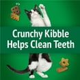 thumbnail image 4 of Purina Friskies Party Mix Picnic Crunch, Cat Treats, Chicken, Turkey, & Cheddar, (6) 6 oz Bags, 4 of 11