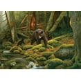 thumbnail image 1 of 1000 Pc Puzzle - Mother Nature, 1 of 1