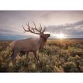 thumbnail image 3 of Deiter, Lori 14x12 Black Modern Framed Museum Art Print Titled - Jackson Sunrise with Elk, 3 of 5
