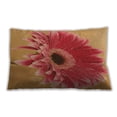thumbnail image 1 of Ahgly Company Outdoor Rectangular Contemporary Lumbar Throw Pillow, 13 inch by 19 inch, 1 of 5