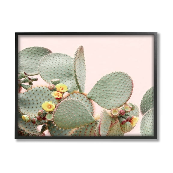 Stupell Industries Cactus Flowers on Pink Botanical & Floral Photography Black Framed Art Print Wall Art, 14 x 11