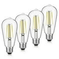 thumbnail image 1 of Bombillas LED Edison Gozelux de 6 W, 750 lm, 5000 K, E26 ST19, paquete de 4, 1 of 7