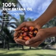 thumbnail image 2 of CADDISE Batana Oil for Hair Growth, Batana Hair Mask for Women & Men, Fresh Scented, 4 oz, 2 of 13