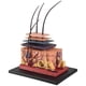 thumbnail image 2 of 4D Human Skin Model Hair Organs Assembling Puzzle Model, 2 of 5