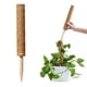 thumbnail image 5 of Palo de palma de coco - Postes de soporte para plantas Enredadera trepadora (50 cm) JShteea Libre de BPA, 5 of 9