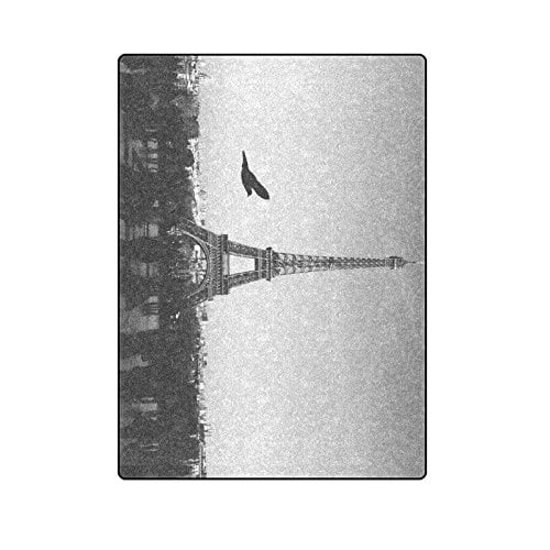 RYLABLUE Paris Eiffel Tower Tour Dark Bird France Throw Blanket Bed Sofa Blanket 58x80 inches