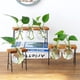 thumbnail image 4 of Macetas de Florero Hidropónico perfecl Decoración para hogar, 4 of 8