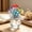 🔥 Multicolor_New, variant on TTJ Patriotic Animal Figurine Set Cute Kawaii Cat Pig Bear Dog Holding American Flag Resin Mini Statues Charming Tabletop Independence Day Home Decor Shelf Accent Party Decoration Gift