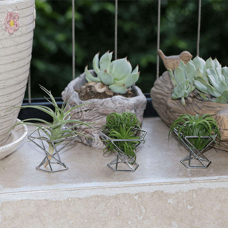 Pack 10 Air Plant Holder Air Plants Holders Tillandsias Display Air  Purifying Plant Container Air Fern Stand, Silver - Walmart.com