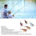 thumbnail image 3 of Señuelos De Pesca, 3 of 7
