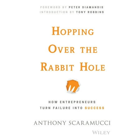 Hopping over the Rabbit Hole: How Entrepreneurs Turn Failure into Success
