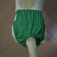 thumbnail image 4 of Twinkseal Dog Sanitary Pants Pet Menstrual Pants Fastener Tape Comfortable Leak-proof Dog Diaper for Periods Incontinence Potty Training Pet Physiological Pants, 4 of 8