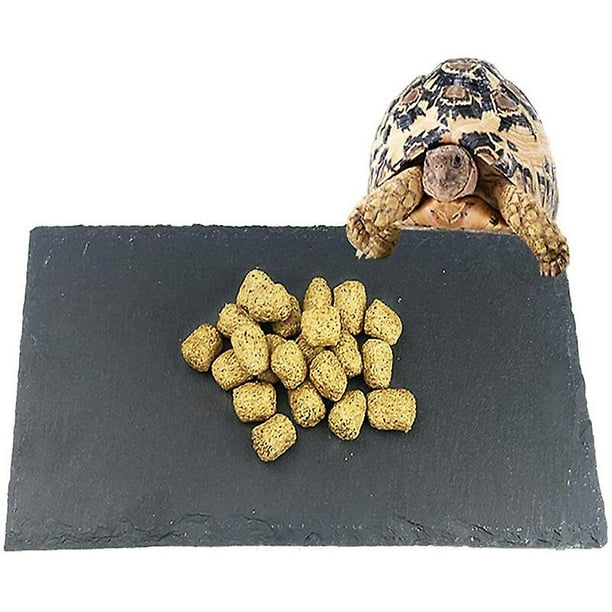 Plat d'alimentation de tortue pour animaux de compagnie, bol de nourriture  de reptile de roche naturelle décor d'habitat de paysage pour le lézard de  tortue 