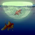 thumbnail image 6 of Floating Betta Cave & Shrimp Hideout - Multi-Functional Aquarium Hammock, Feeding Ring, Stress-Free Resting Spot for Small Fish Tanks, 6 of 6